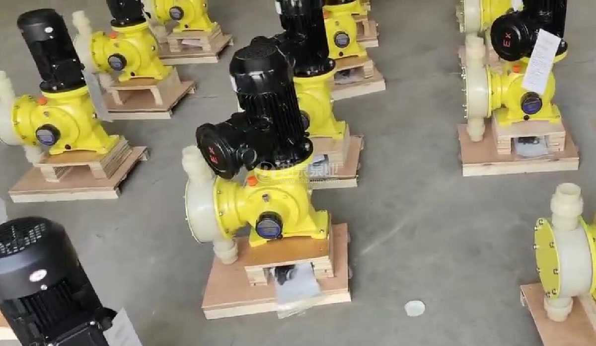 2300L PVDF Metering pump PVDF防爆机械隔膜计量泵